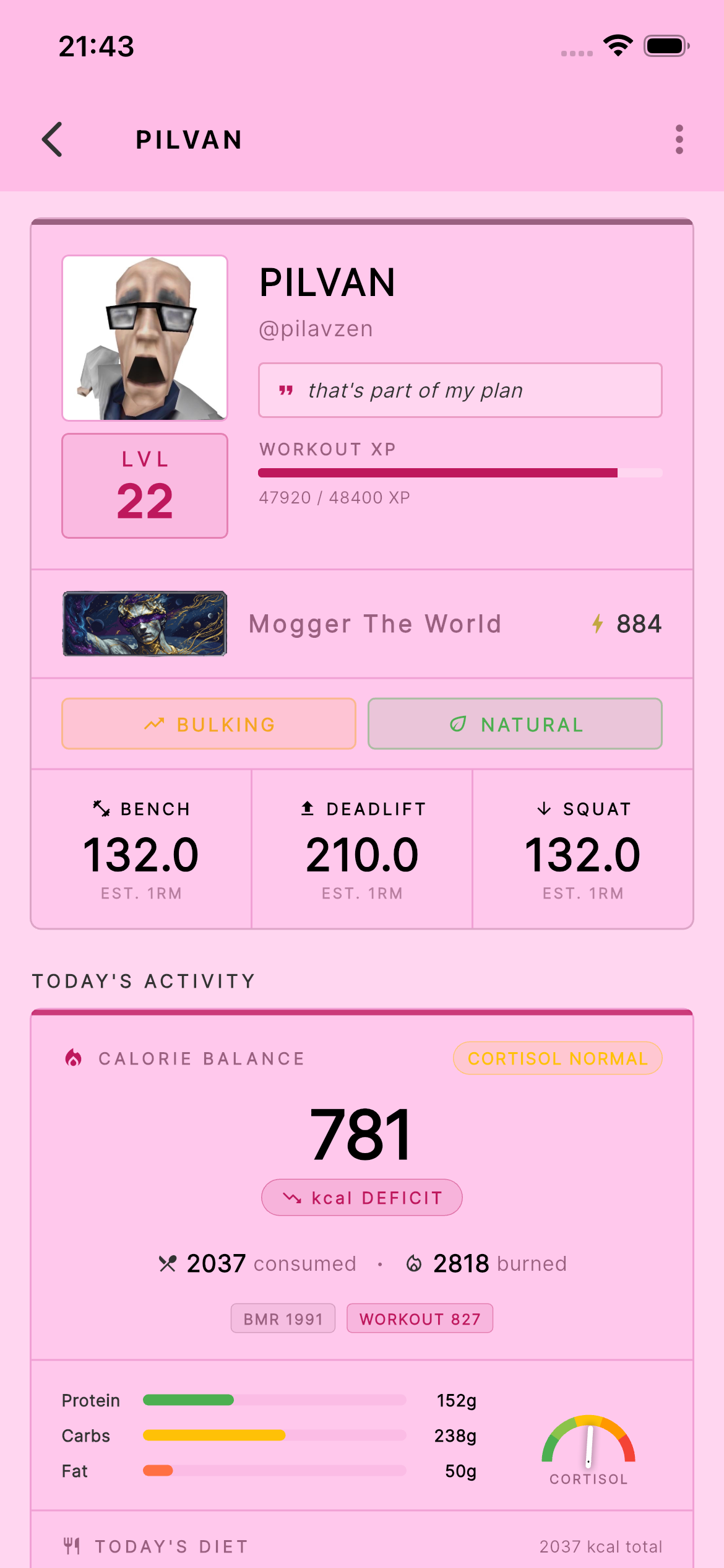 Profile customization